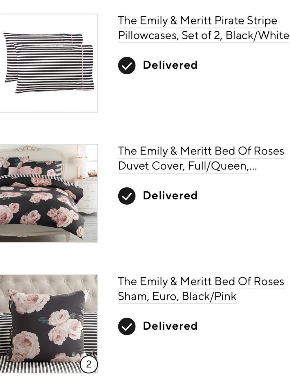 Pottery Barn Teen Emily & Meritt Bedd of Roses Bedding set
